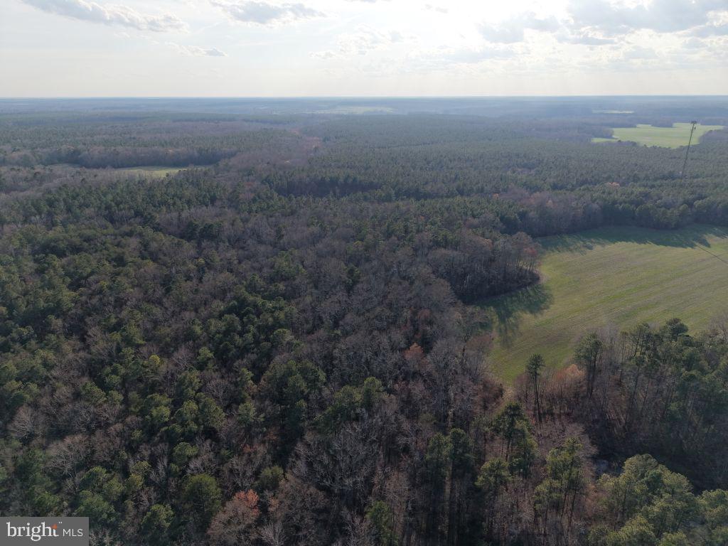 Glebe Landing Road Jamaica, VA 23079 - Photo 9 of 17