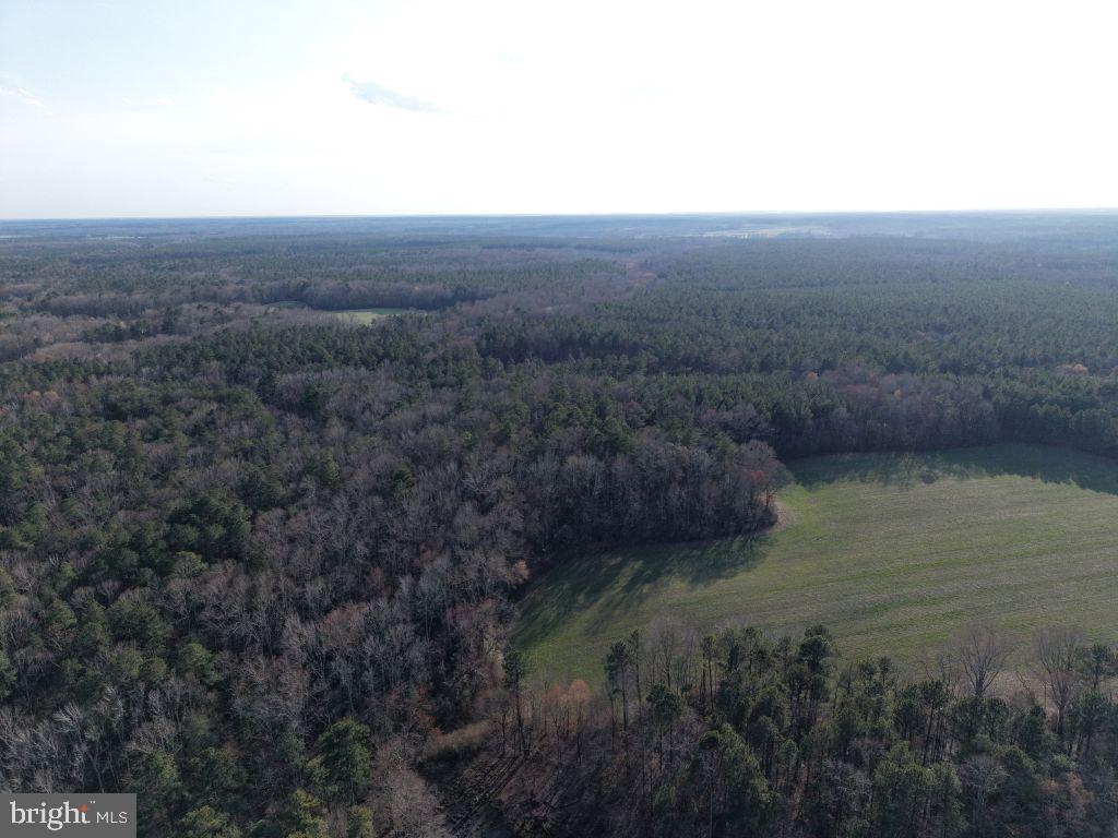 Glebe Landing Road Jamaica, VA 23079 - Photo 10 of 17
