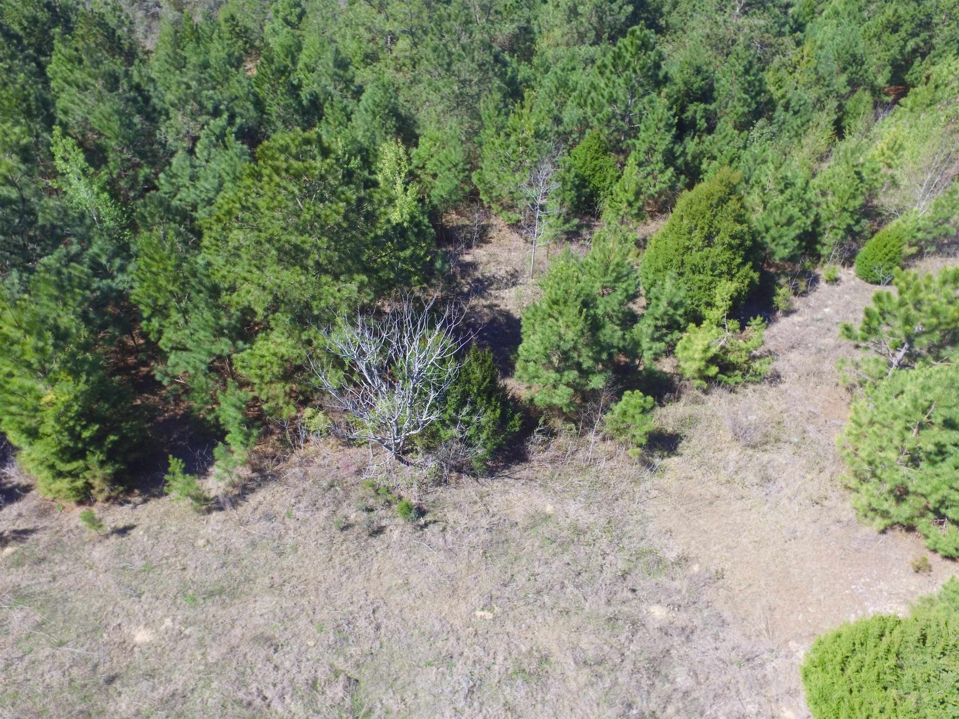 Xxx Freeman Road Bristol, FL 32321 - Photo 11 of 15