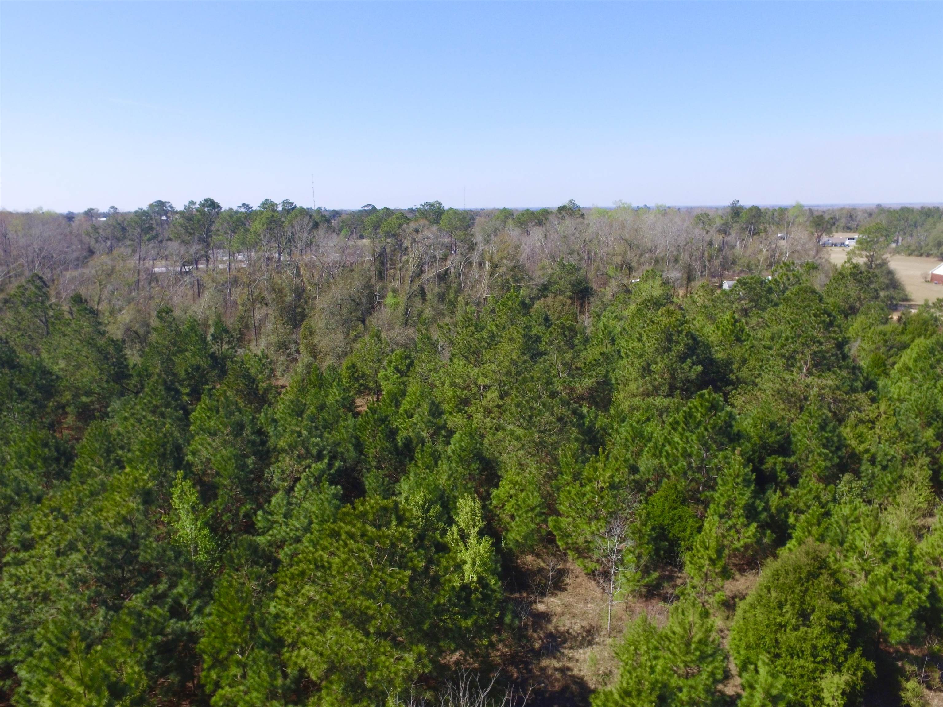 Xxx Freeman Road Bristol, FL 32321 - Photo 12 of 15