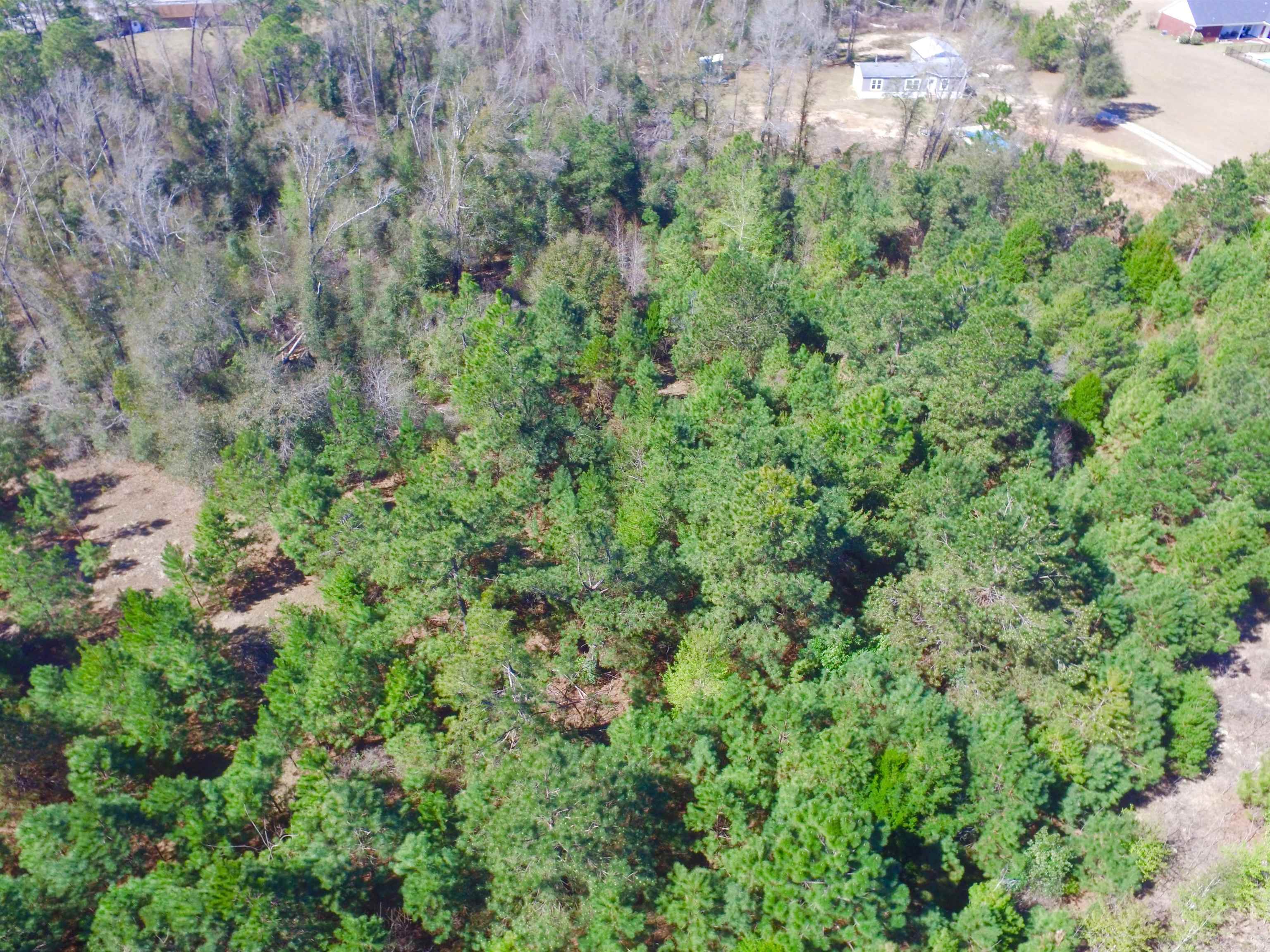 Xxx Freeman Road Bristol, FL 32321 - Photo 15 of 15