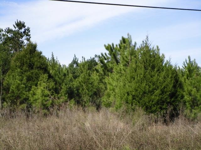 Xxx Freeman Road Bristol, FL 32321 - Photo 2 of 15
