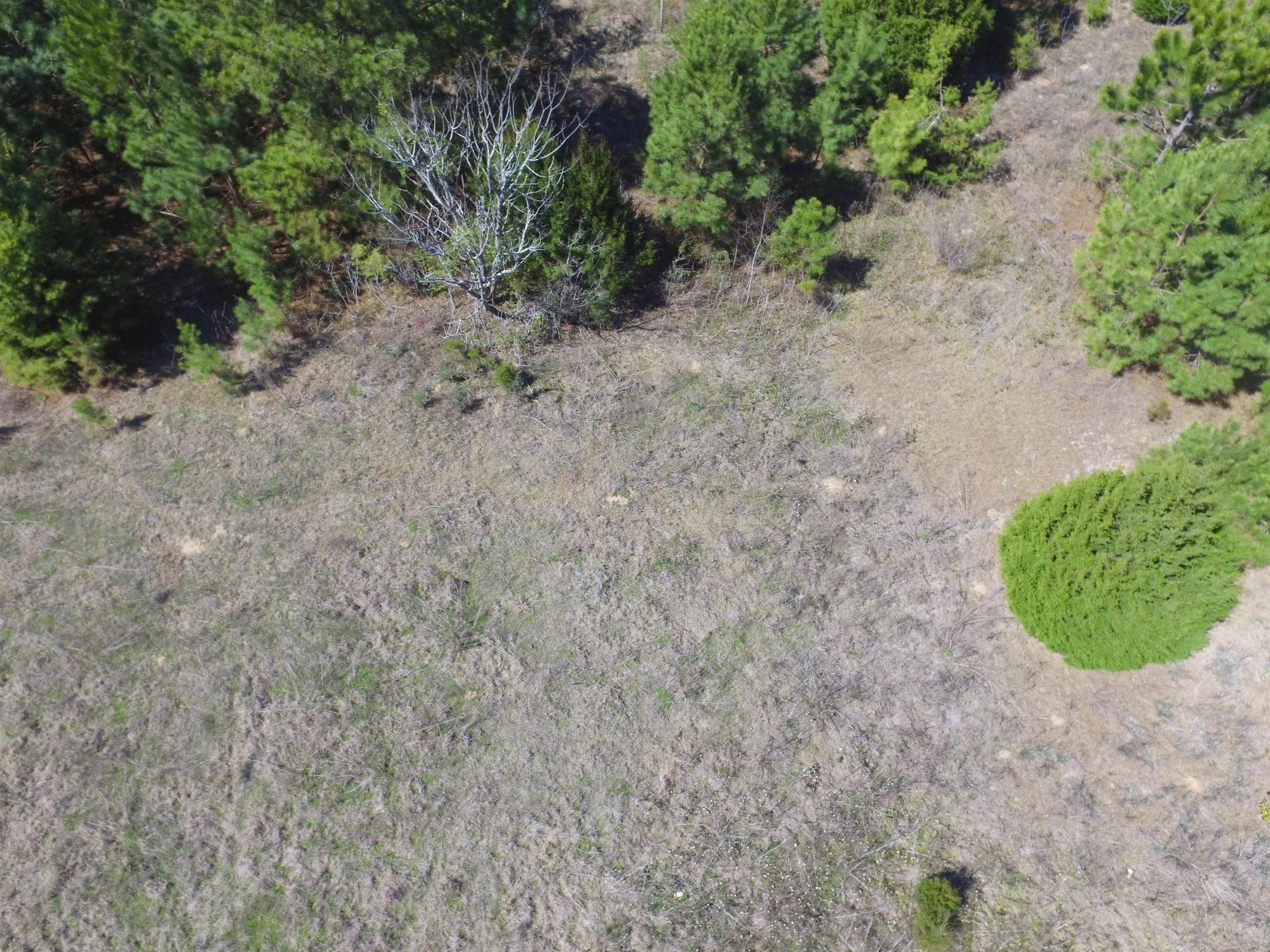 Xxx Freeman Road Bristol, FL 32321 - Photo 4 of 15