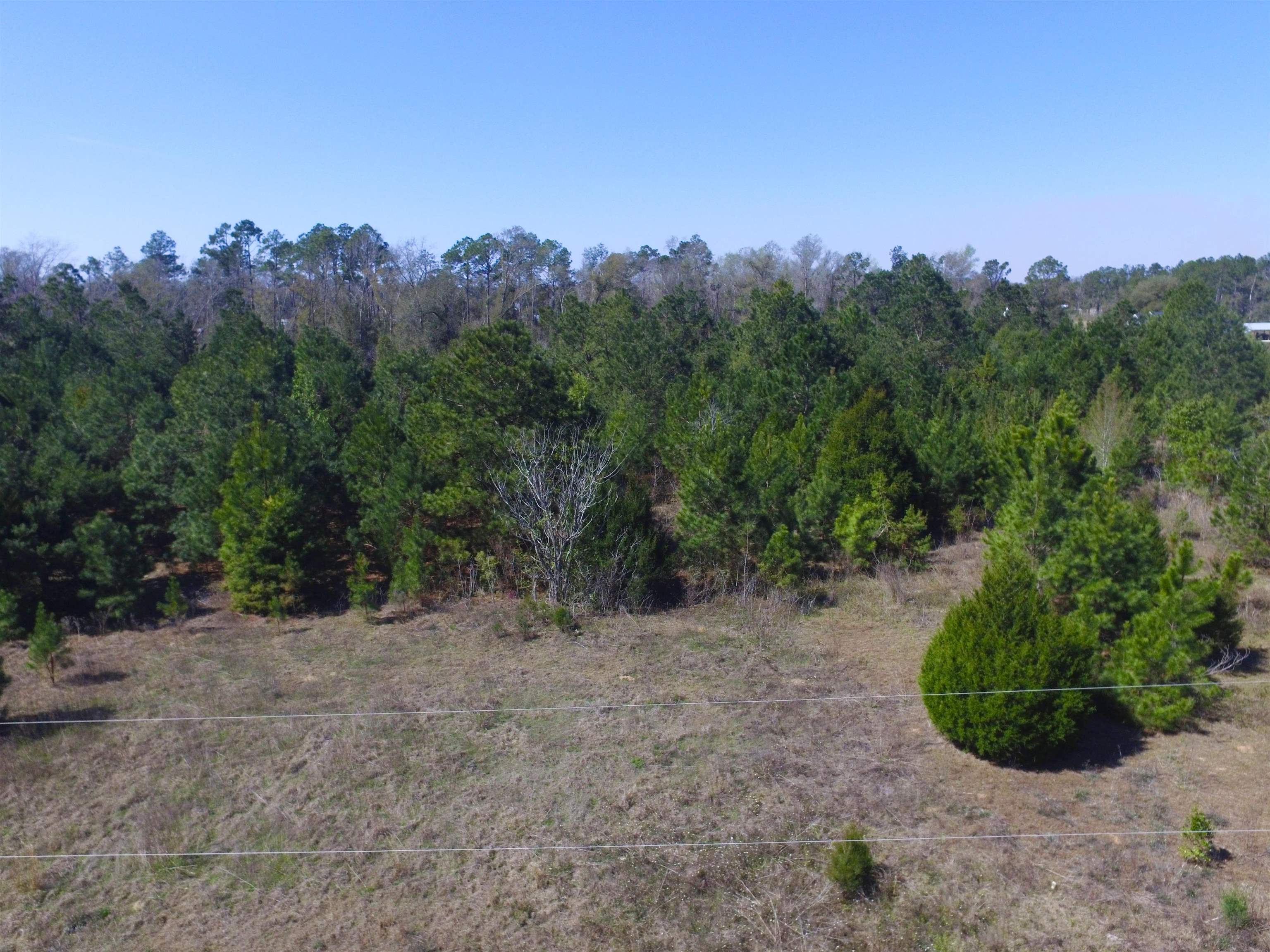 Xxx Freeman Road Bristol, FL 32321 - Photo 5 of 15