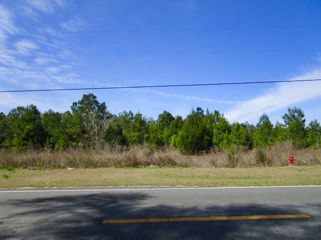 Xxx Freeman Road Bristol, FL 32321 - Photo 6 of 15