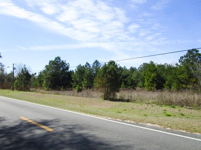 Xxx Freeman Road Bristol, FL 32321 - Photo 8 of 15