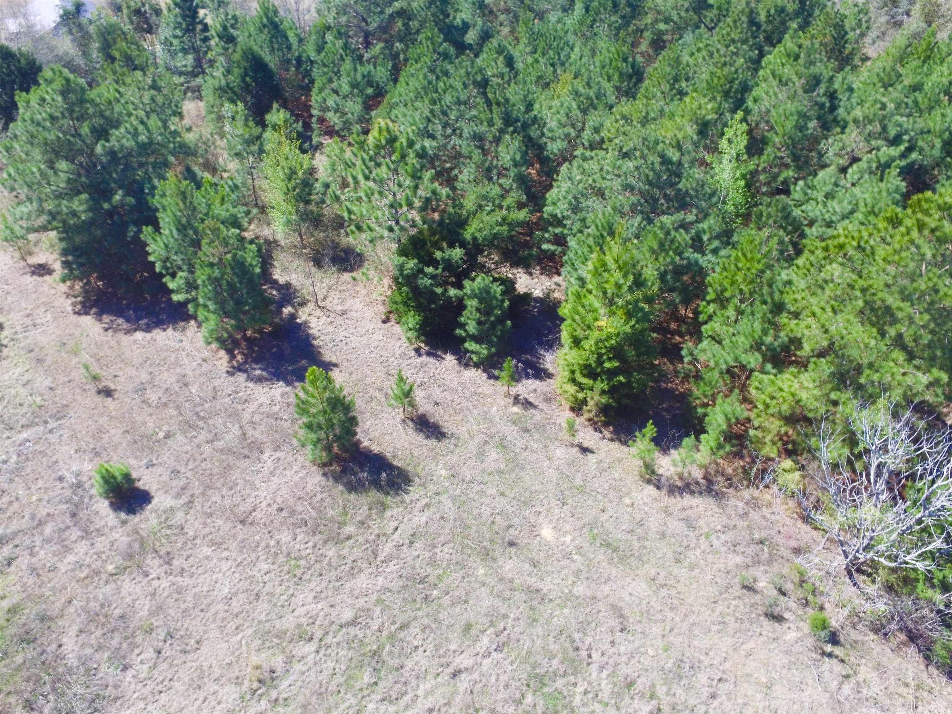 Xxx Freeman Road Bristol, FL 32321 - Photo 10 of 15