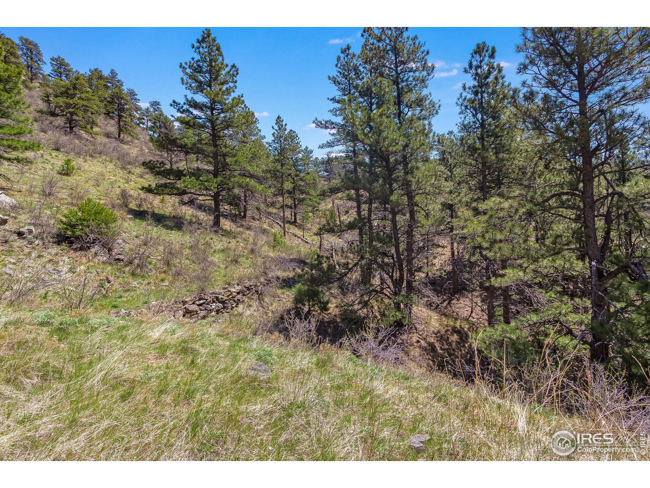 0 Obenchain Road Laporte, CO 80535 - Photo 13 of 20 Gallery Image 13