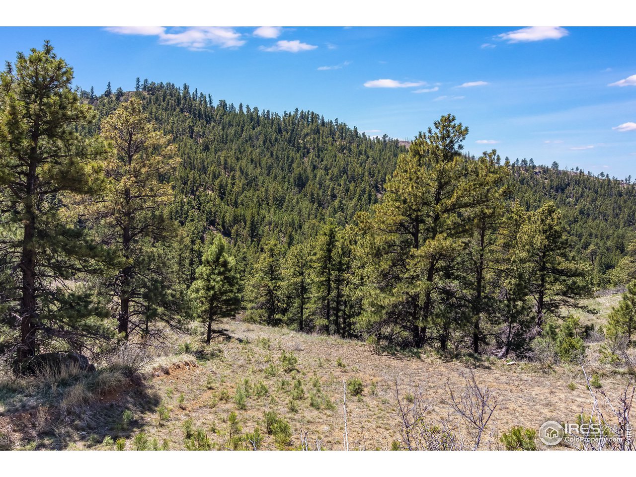 0 Obenchain Road Laporte, CO 80535 - Photo 16 of 20 Gallery Image 16