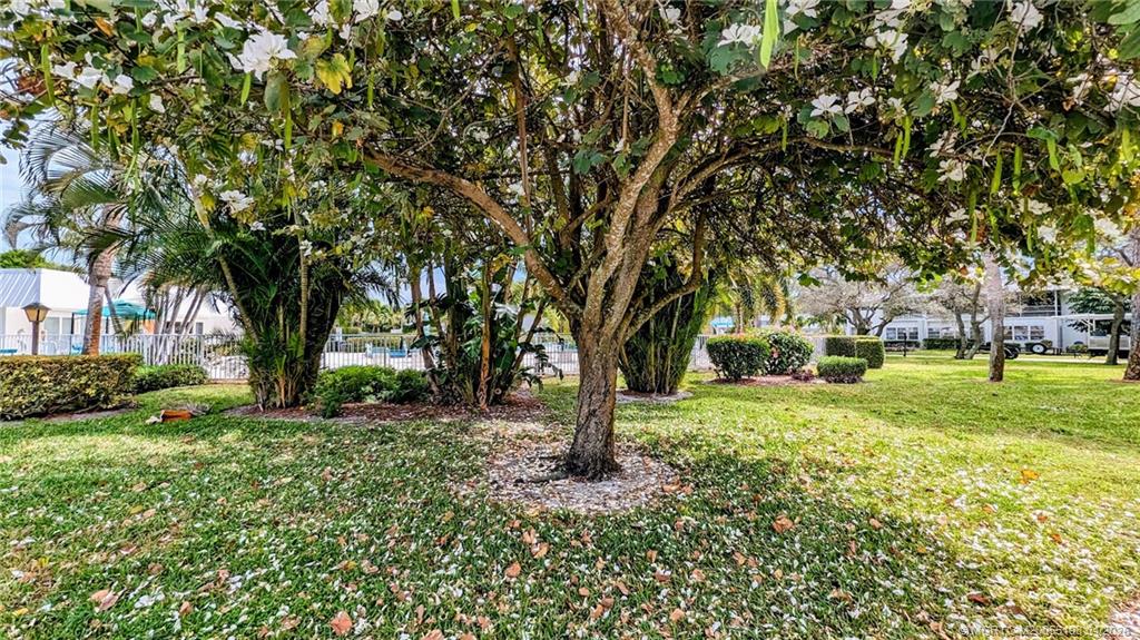 Undisclosed Address Stuart, FL 34996 - Photo 14 of 28 a view of a yard with plants and trees