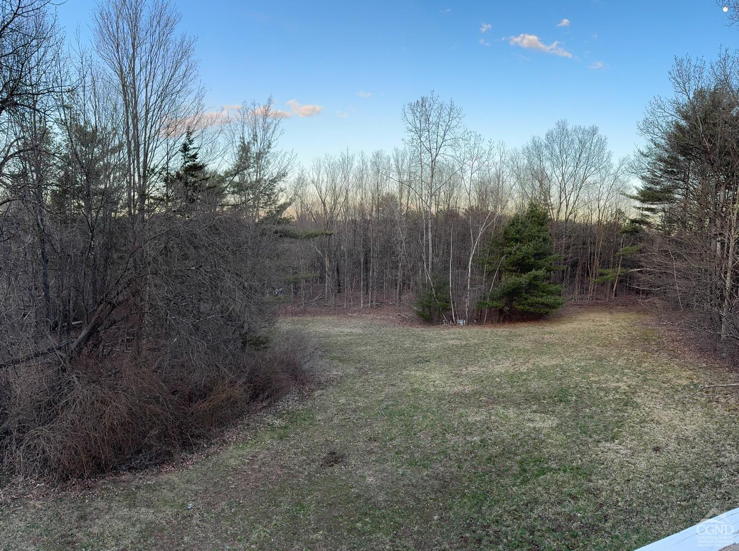 1406 Rte 31 Germantown, NY 12526 - Photo 20 of 25 a view of a forest with trees in the background