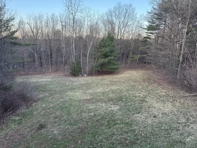 a view of outdoor space with trees