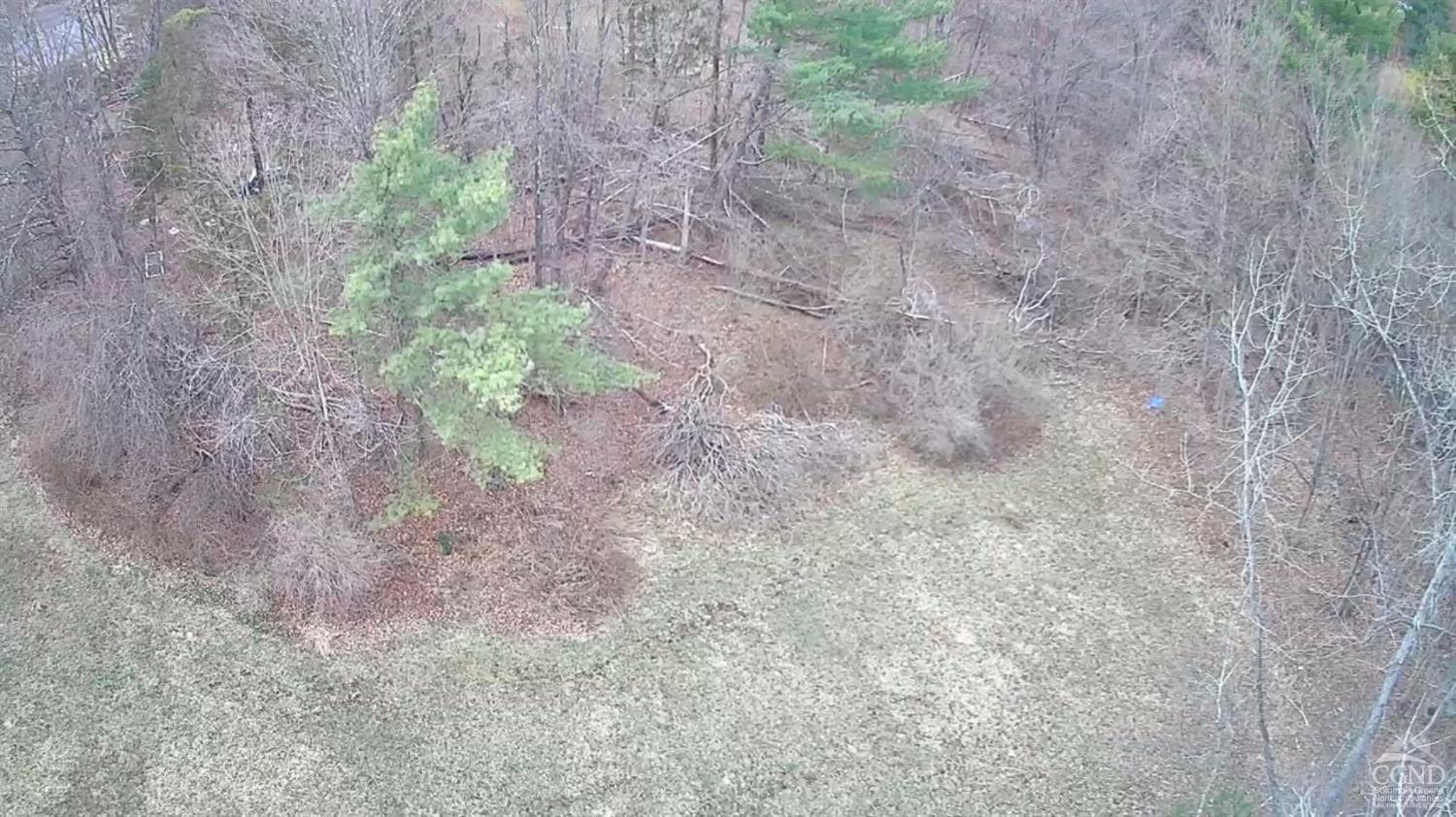 1406 Rte 31 Germantown, NY 12526 - Photo 23 of 25 a view of a dry yard with a tree