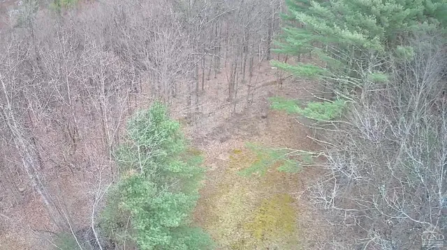 a view of a yard with a trees