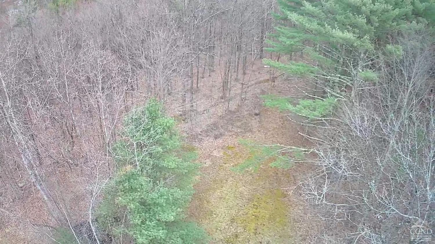 1406 Rte 31 Germantown, NY 12526 - Photo 25 of 25 a view of a yard with a trees