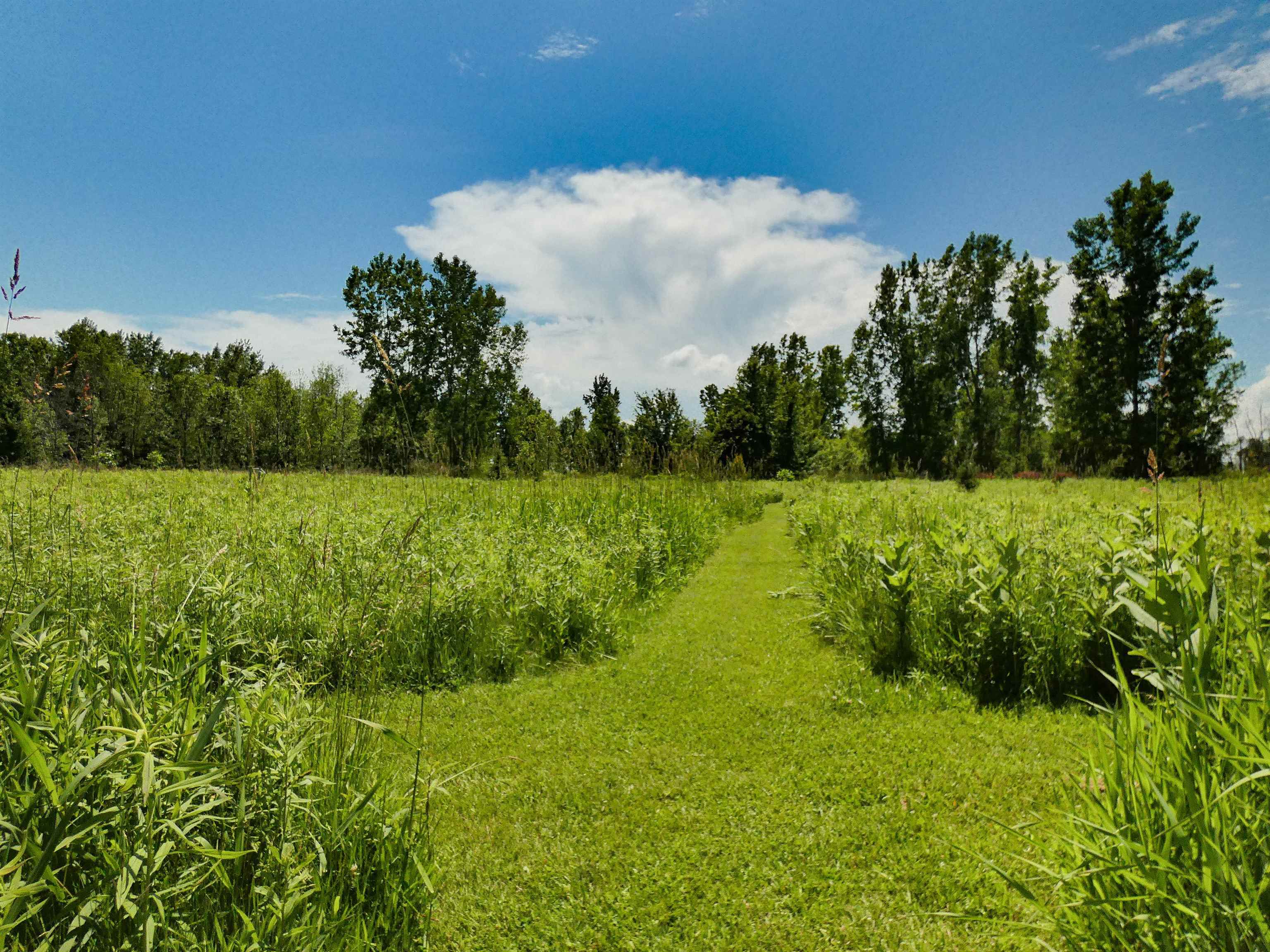 N3644 Green Valley Road Pulaski, WI 54162 - Photo 26 of 33