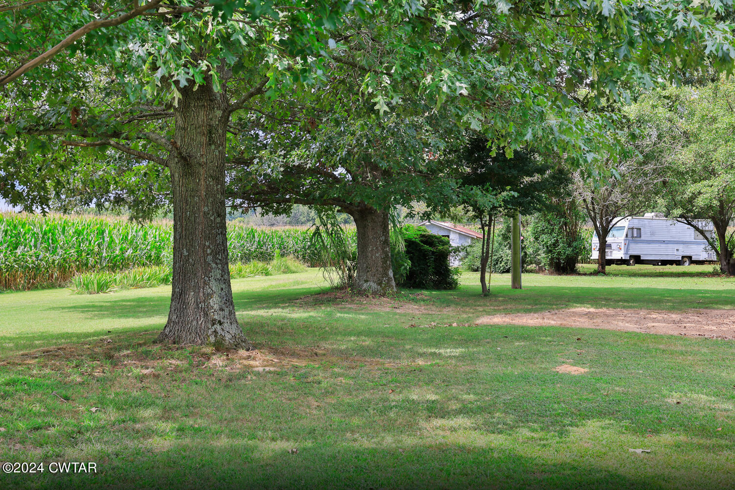 826 Old Salem Road Martin, TN 38237 - Photo 13 of 43 a view of a park with large trees