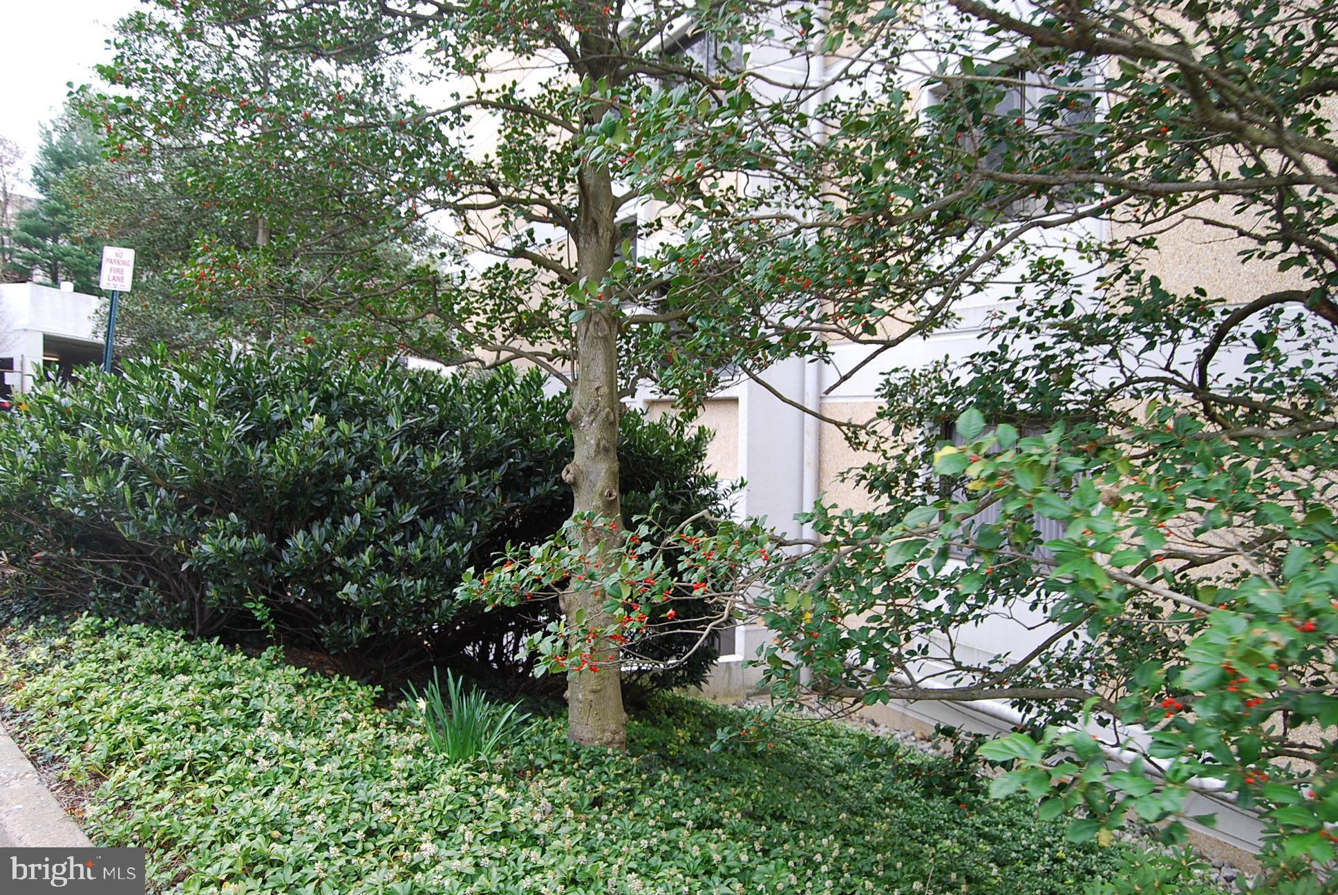 6101 Edsall Road, Unit 401 Alexandria, VA 22304 - Photo 31 of 32 Common Grounds