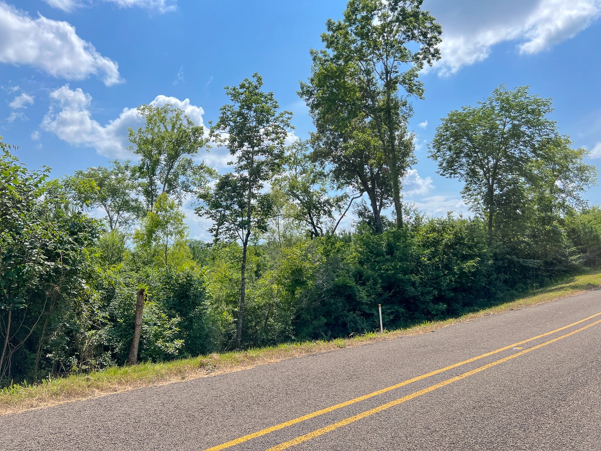 5 Interstate 35 Natalia, TX 78059 - Photo 4 of 9