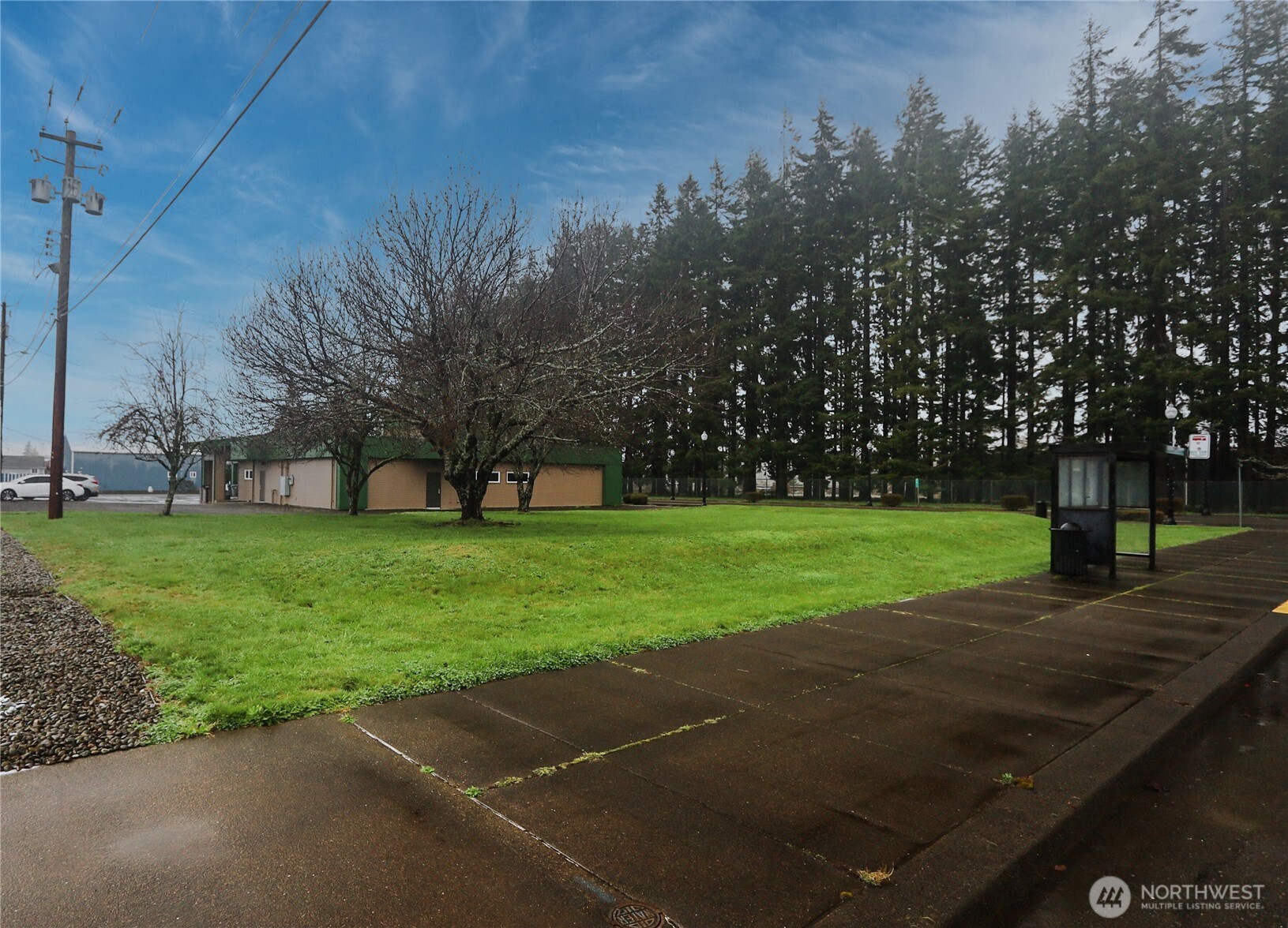 1312 1st Street Cosmopolis, WA 98537 - Photo 2 of 8 a view of a park with large trees
