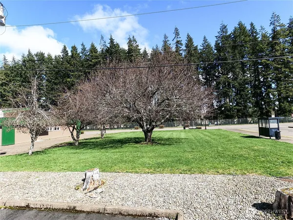 a view of a park with large trees