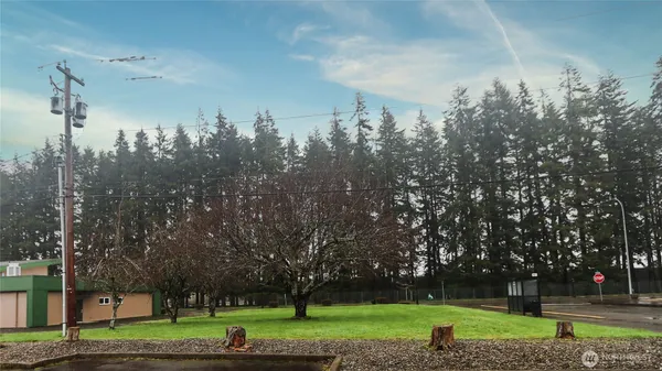 a view of a park with large trees