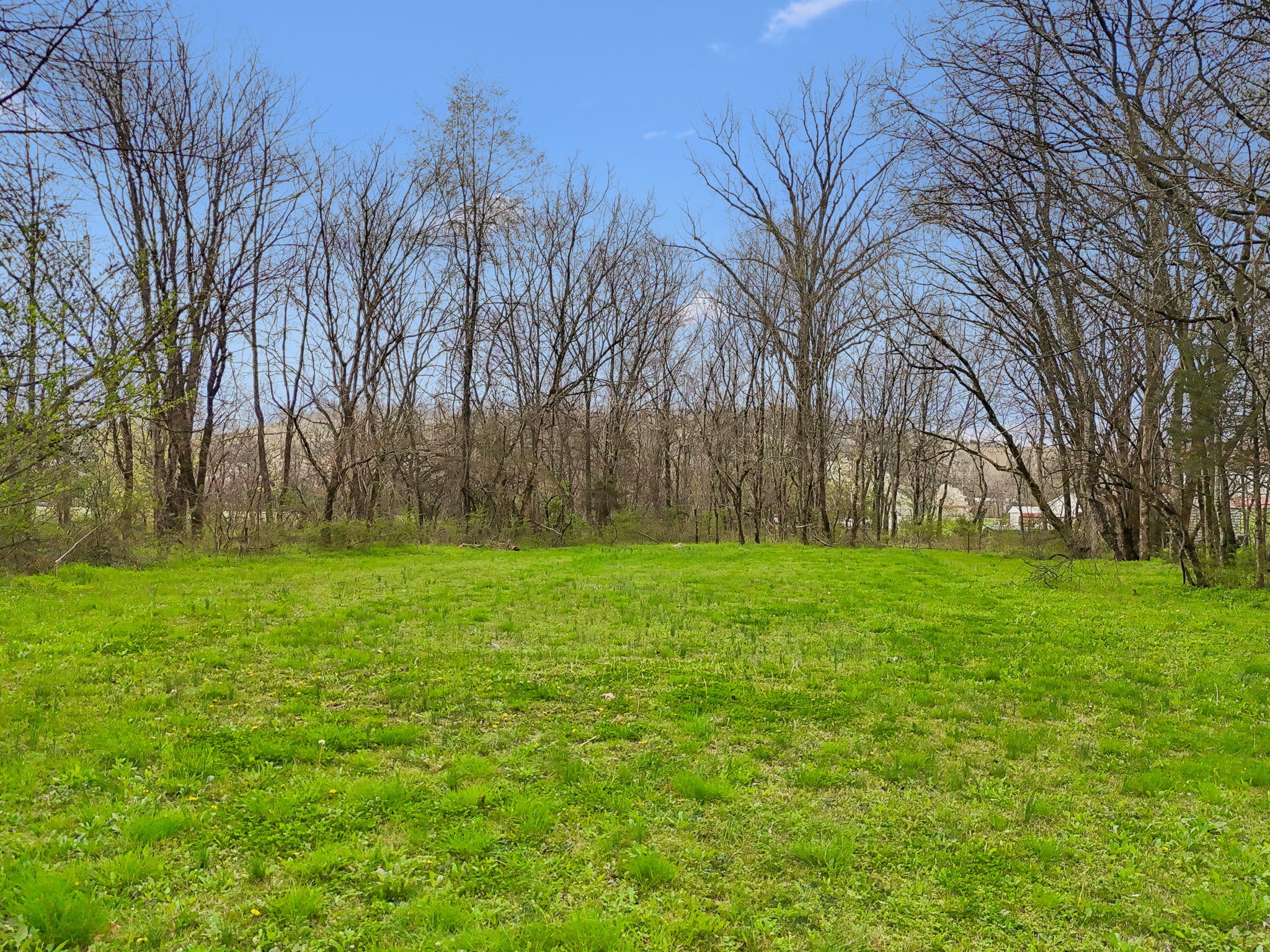 413 Bankshire Road Beechgrove, TN 37018 - Photo 60 of 66 a backyard of a house with lots of green space