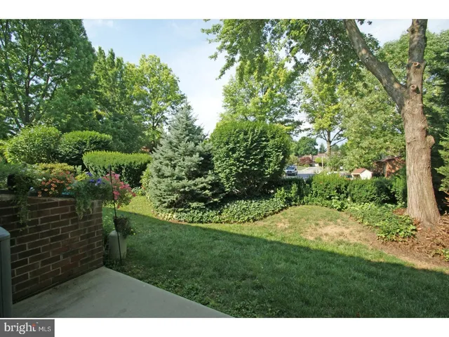 a view of a back yard