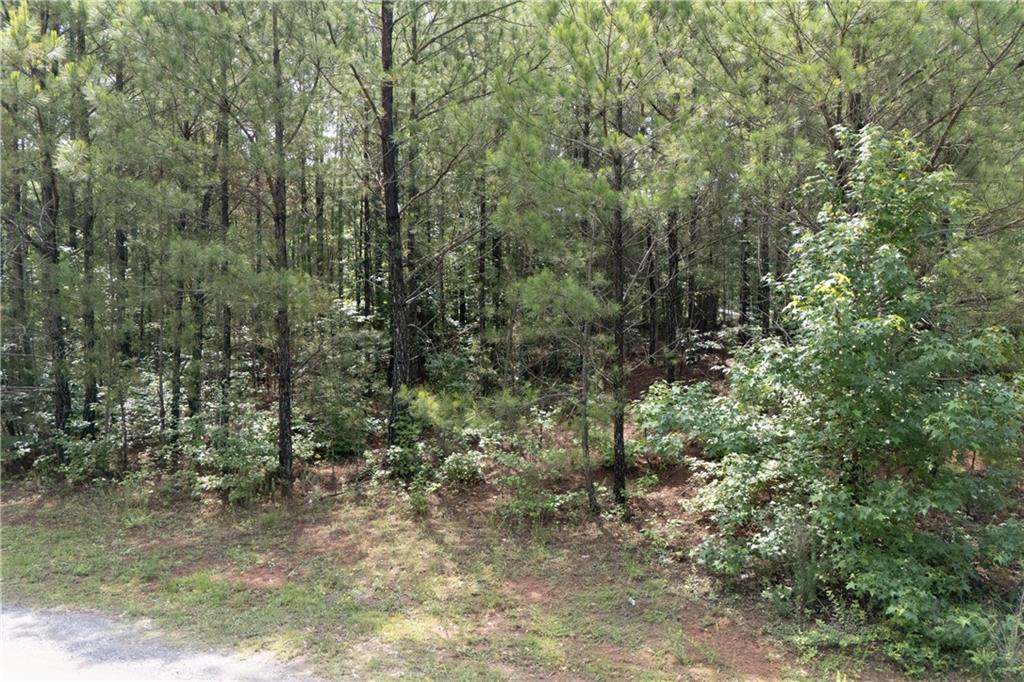 0 Ono Road Palmetto, GA 30268 - Photo 5 of 23