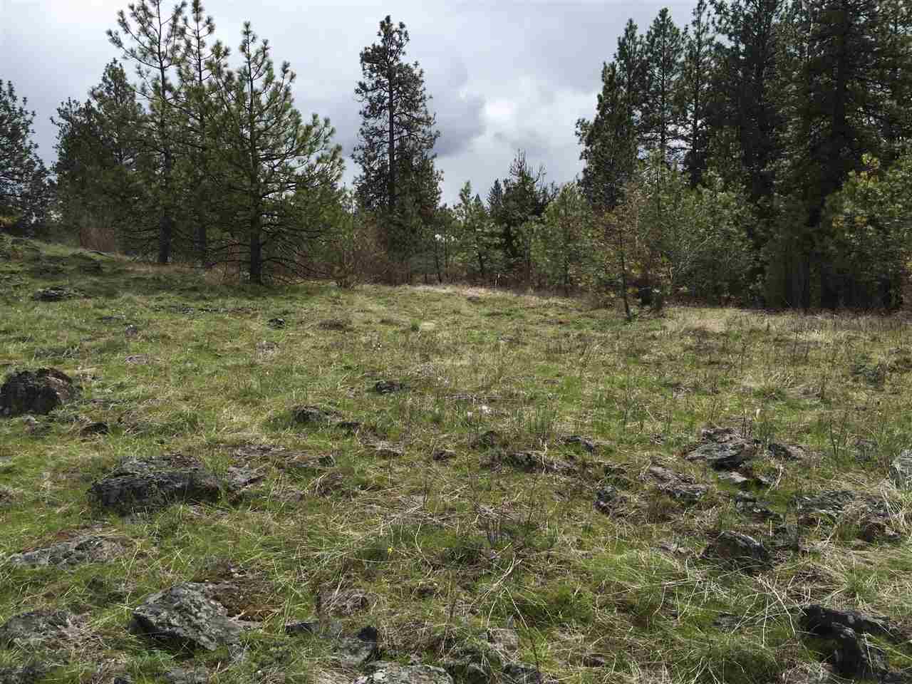 Tbd West Garden Springs Road Spokane, WA 99224 - Photo 2 of 7