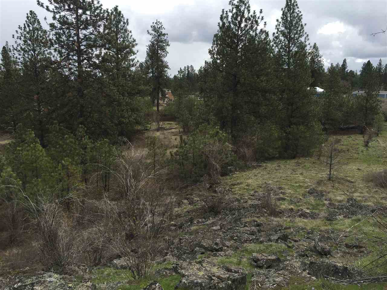 Tbd West Garden Springs Road Spokane, WA 99224 - Photo 3 of 7
