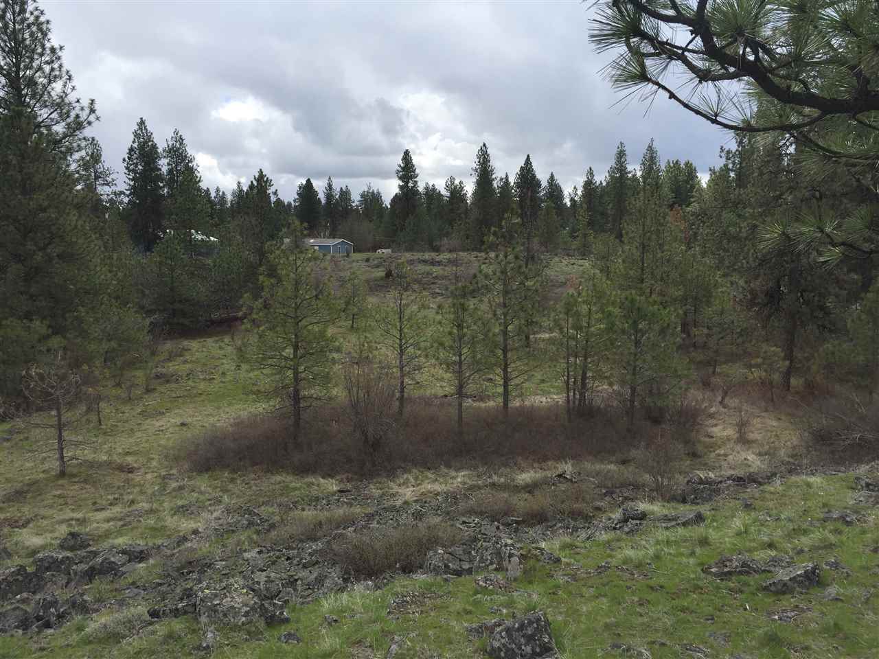 Tbd West Garden Springs Road Spokane, WA 99224 - Photo 4 of 7