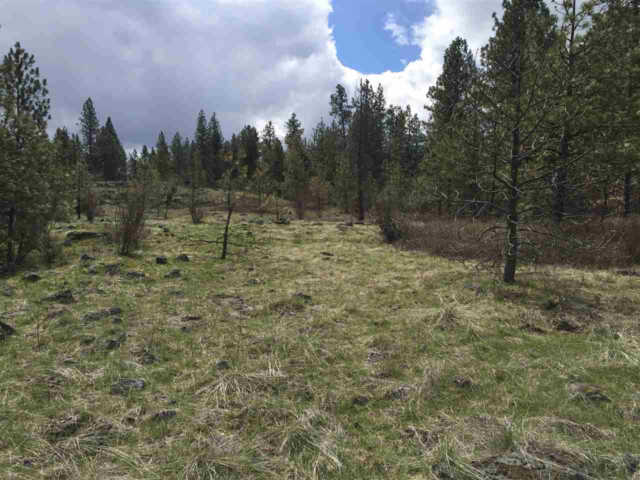 Tbd West Garden Springs Road Spokane, WA 99224 - Photo 5 of 7