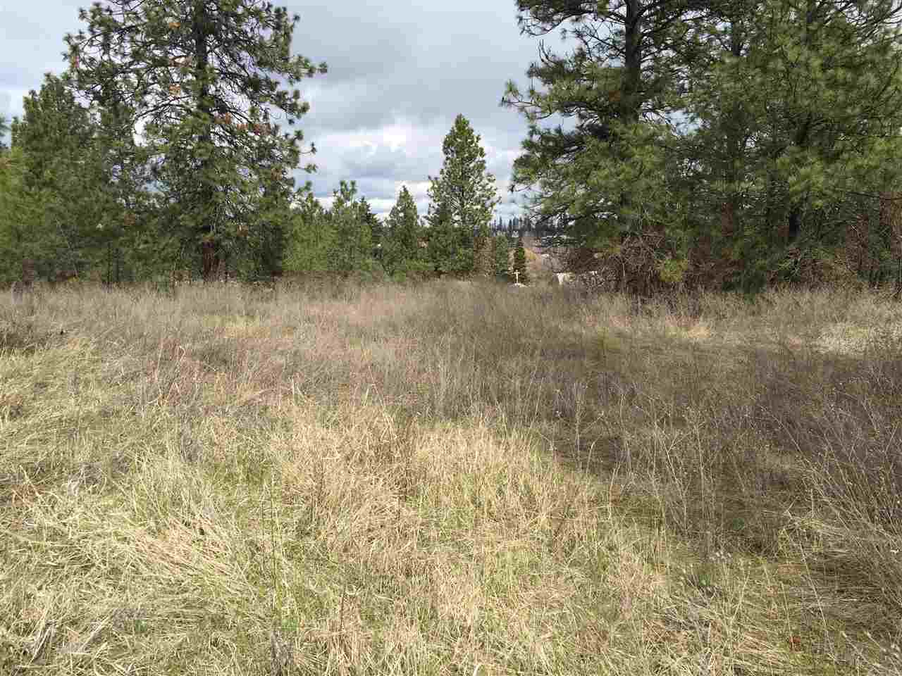 Tbd West Garden Springs Road Spokane, WA 99224 - Photo 6 of 7