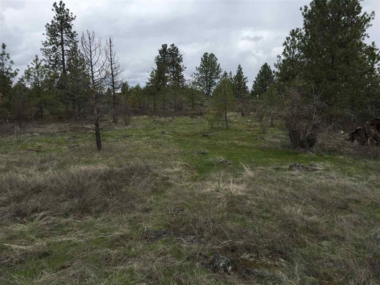 Tbd West Garden Springs Road Spokane, WA 99224 - Photo 7 of 7