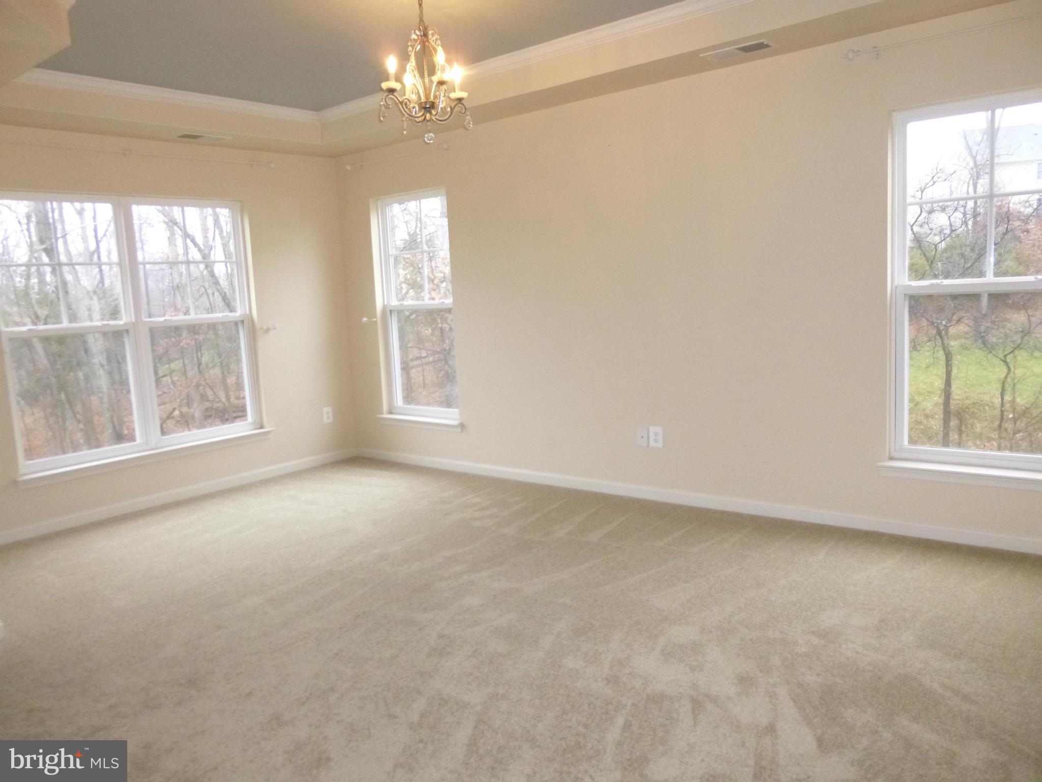 9081 Ribbon Falls Loop Bristow, VA 20136 - Photo 12 of 28 Bedroom (Master)