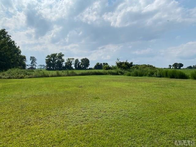 675 Arnold's Loop Road Roper, NC 27970 - Photo 5 of 36