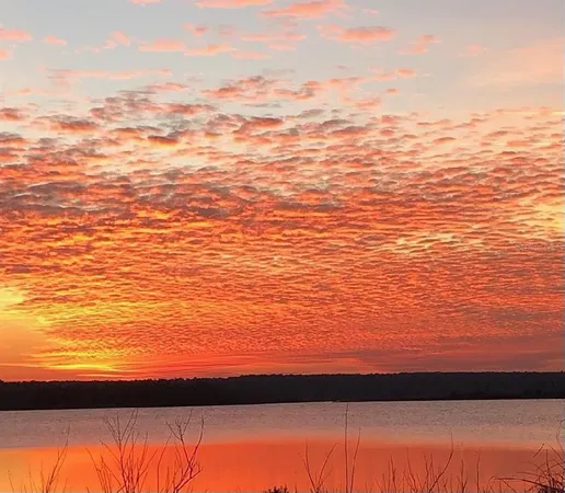 $329,900 | 23797 Northeast 189th Street, Fort McCoy, FL 32134