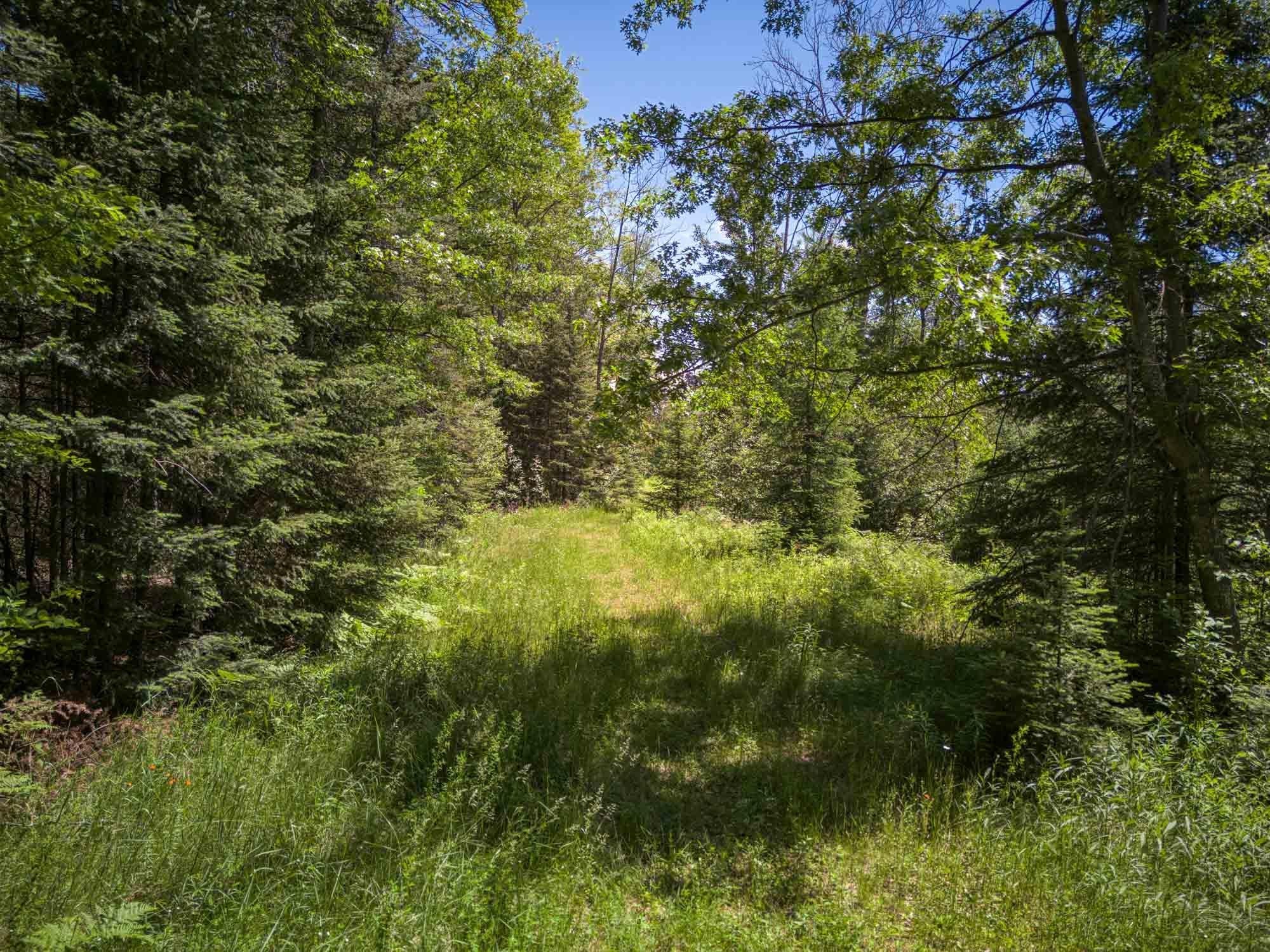 Off Chippewa Drive Rhinelander, WI 54501 - Photo 13 of 16 Gallery Image 13