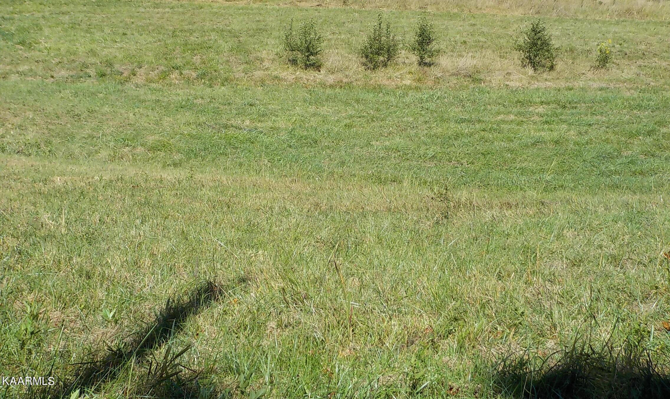 Zachary Road Blaine, TN 37709 - Photo 1 of 16 DSCN2663