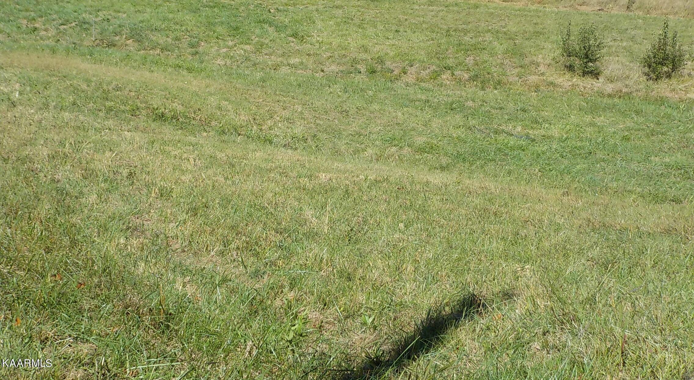 Zachary Road Blaine, TN 37709 - Photo 2 of 16 DSCN2662