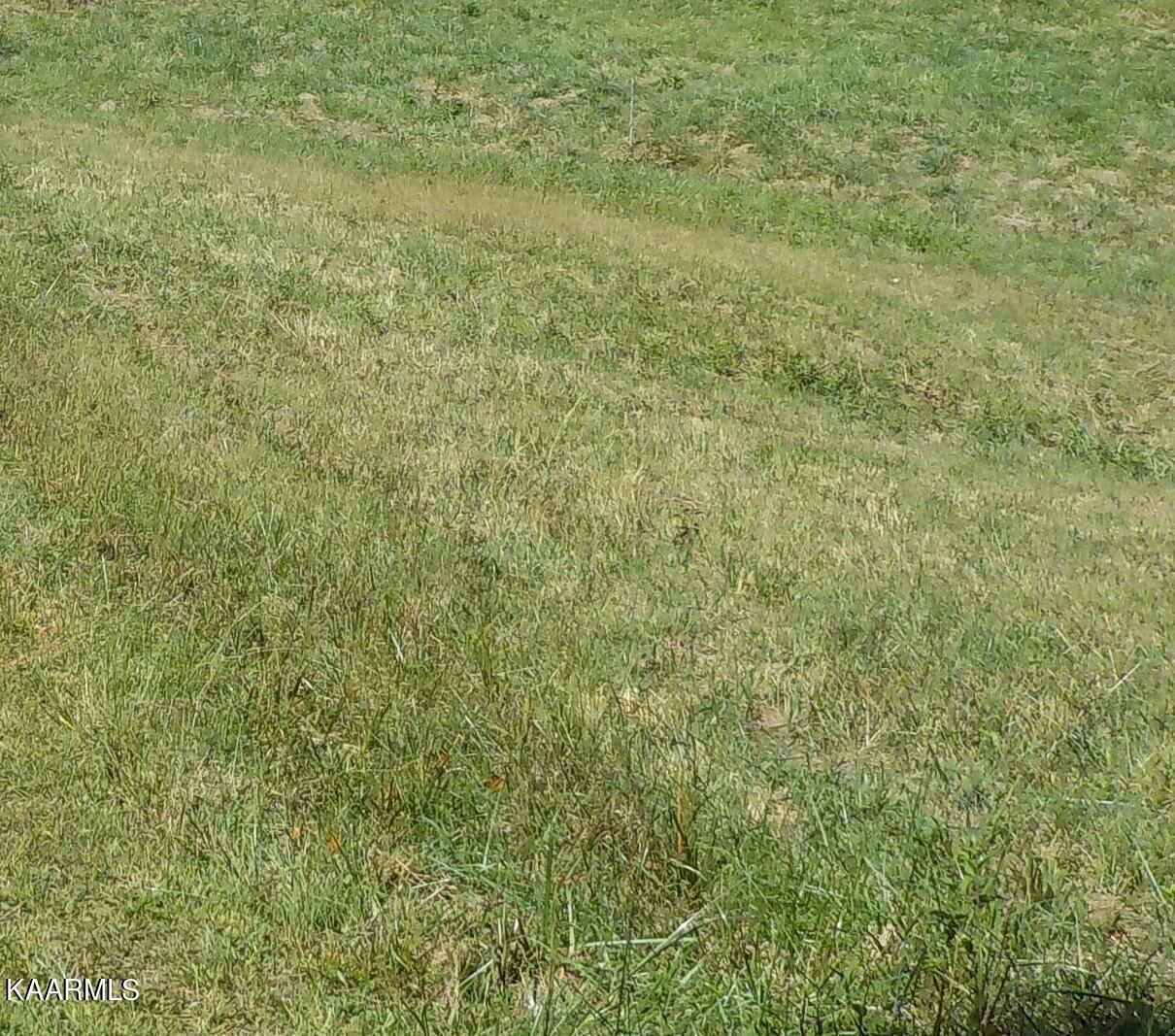 Zachary Road Blaine, TN 37709 - Photo 4 of 16 DSCN2660