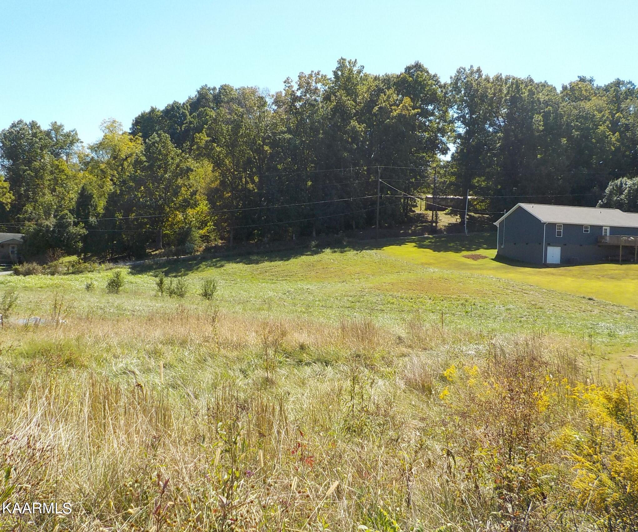 Zachary Road Blaine, TN 37709 - Photo 5 of 16 DSCN2647