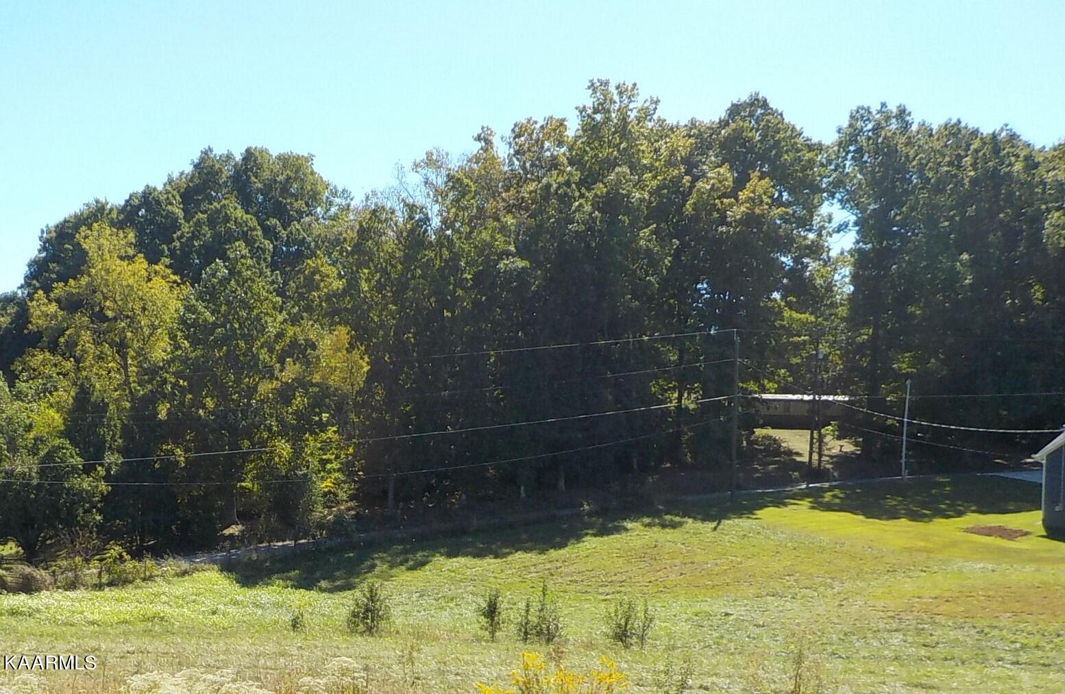 Zachary Road Blaine, TN 37709 - Photo 7 of 16 DSCN2649