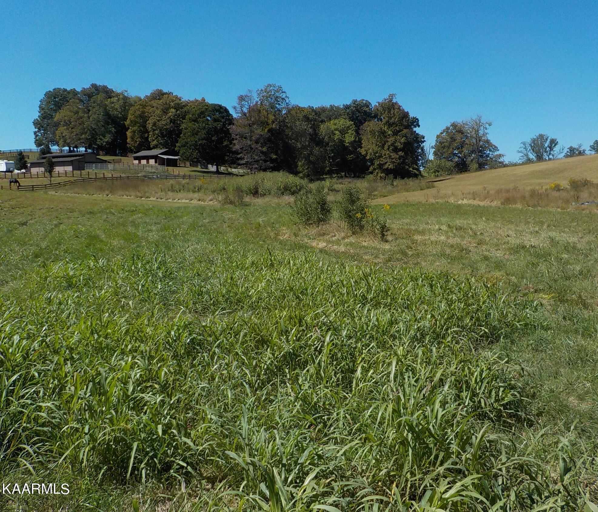 Zachary Road Blaine, TN 37709 - Photo 8 of 16 DSCN2650