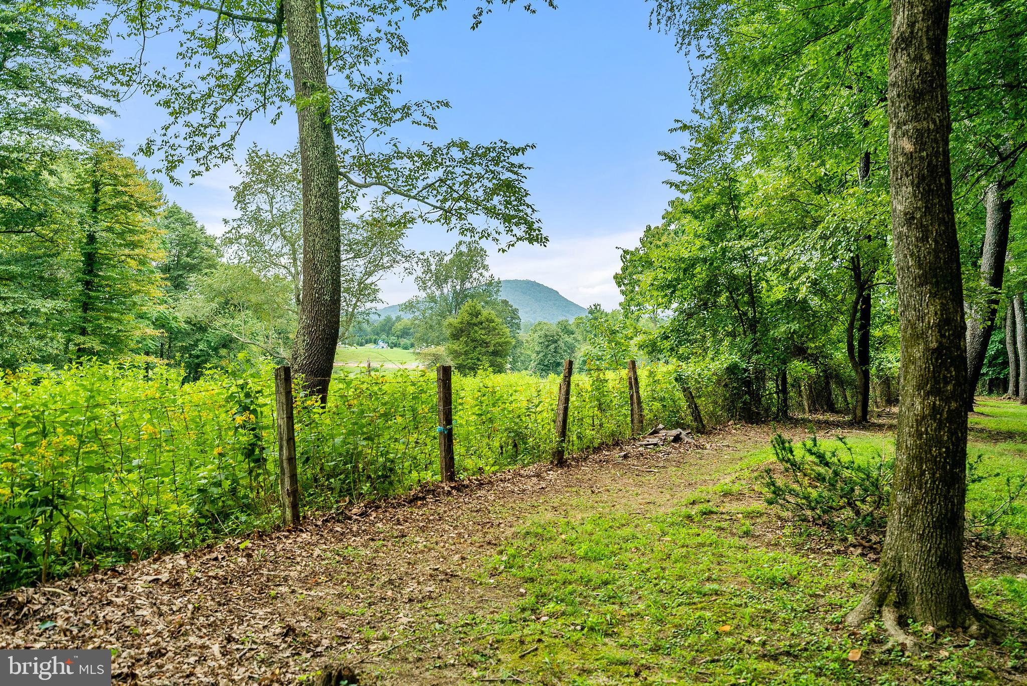 236 Lizzie Mills Road Castleton, VA 22716 - Photo 5 of 50