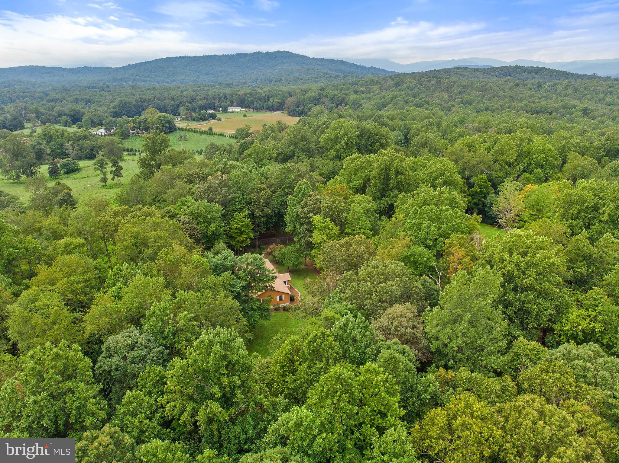 236 Lizzie Mills Road Castleton, VA 22716 - Photo 48 of 50