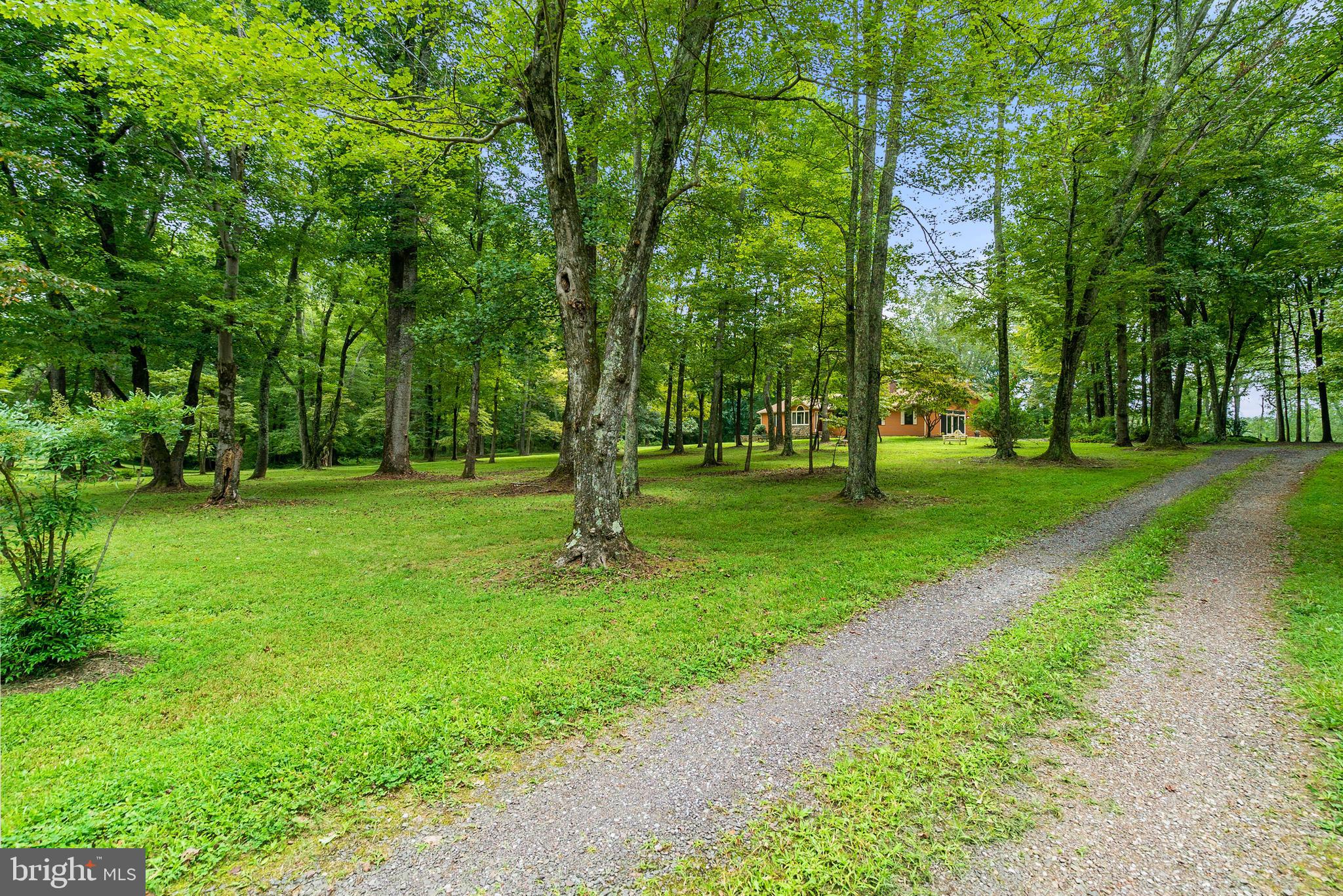236 Lizzie Mills Road Castleton, VA 22716 - Photo 49 of 50