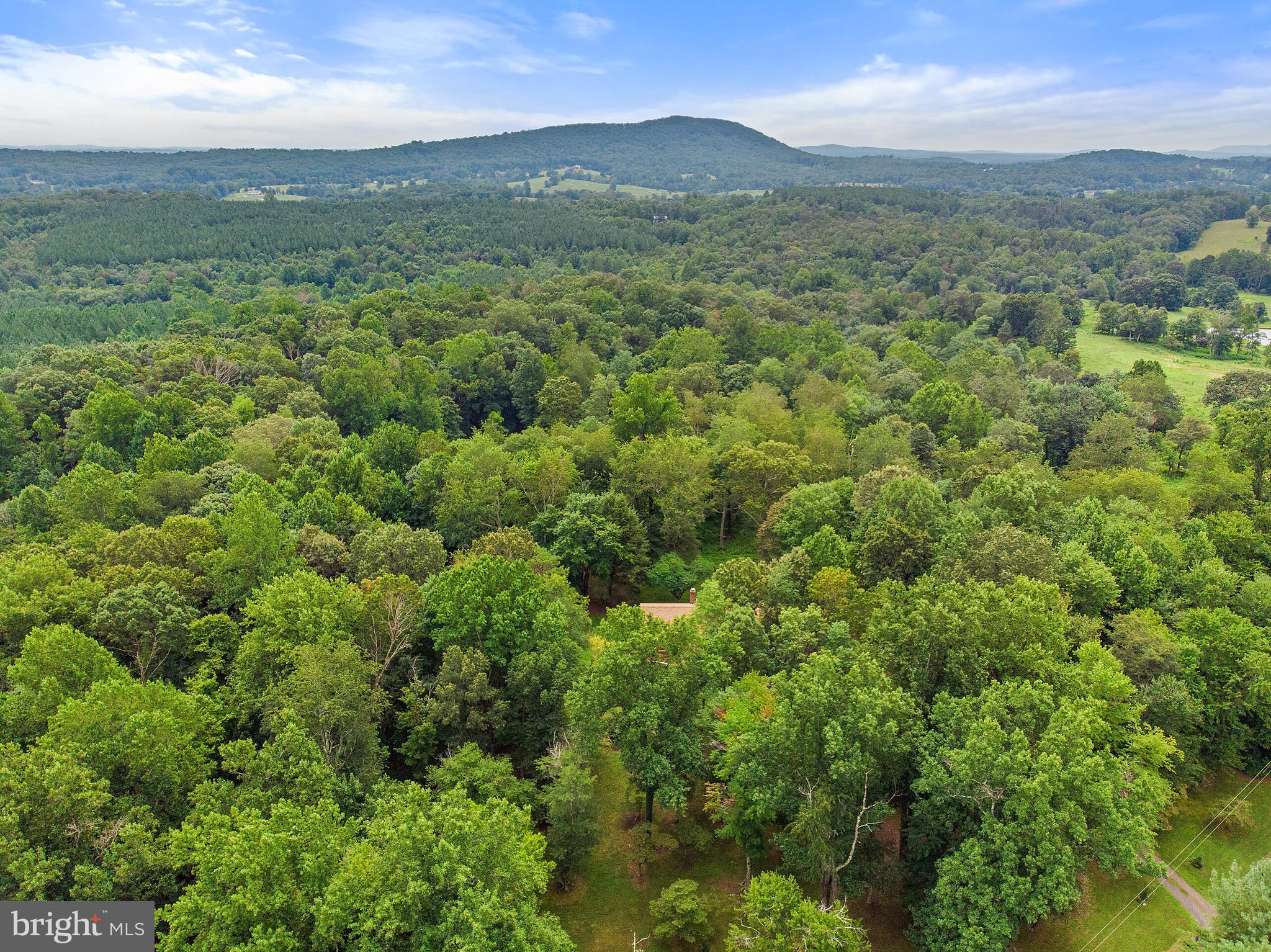 236 Lizzie Mills Road Castleton, VA 22716 - Photo 6 of 50