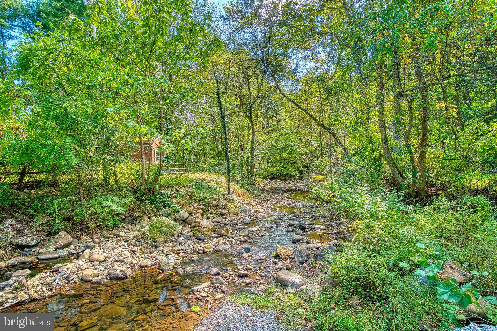 381 Swindler Hollow Road Sperryville, VA 22740 - Photo 2 of 31